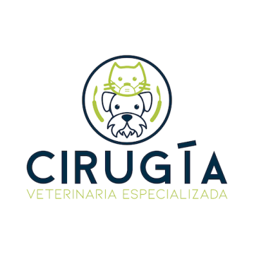 Cirugía